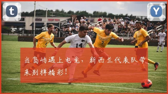 当岛屿遇上电竞,新西兰代表队带来别样精彩!