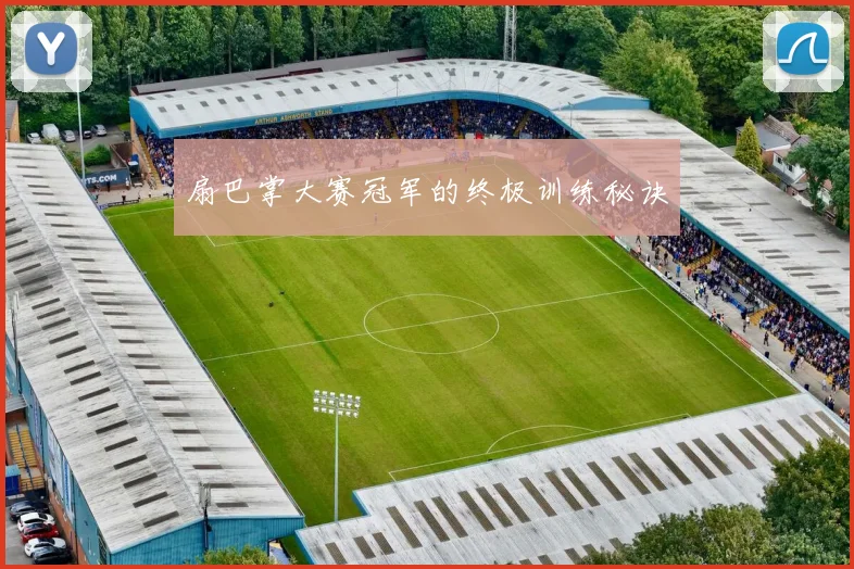 扇巴掌大赛冠军的终极训练秘诀