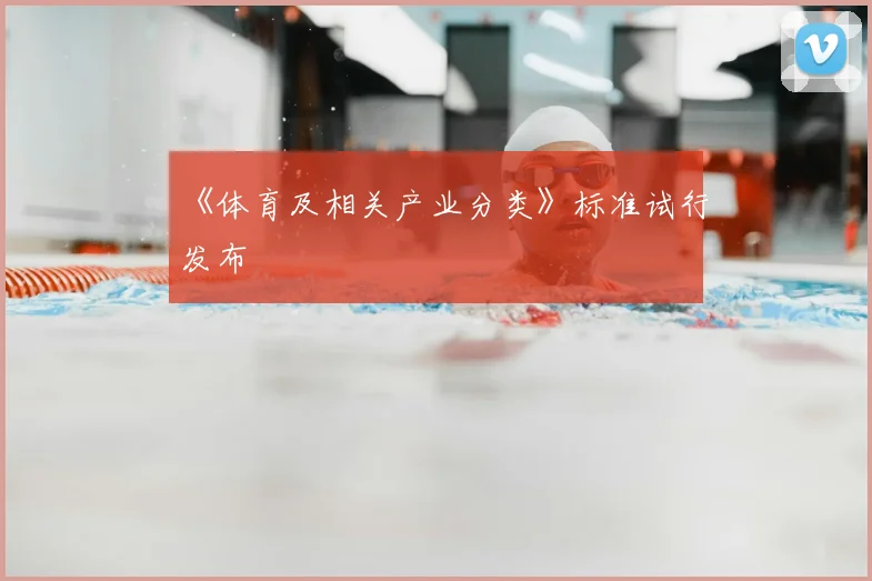 《体育及相关产业分类》标准试行发布