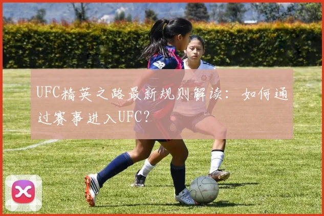 UFC精英之路最新规则解读：如何通过赛事进入UFC？