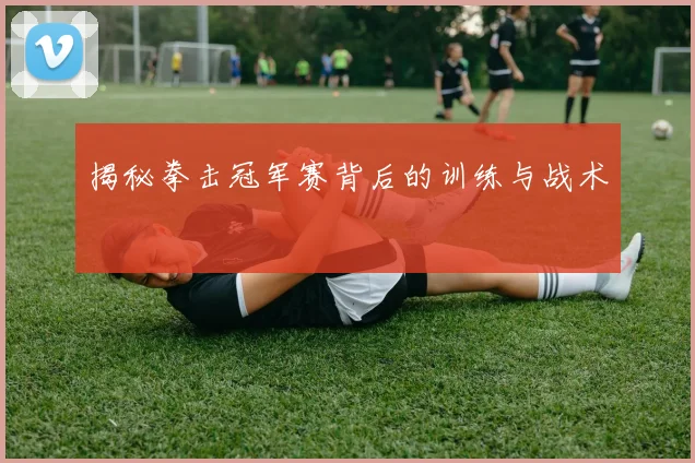 揭秘拳击冠军赛背后的训练与战术