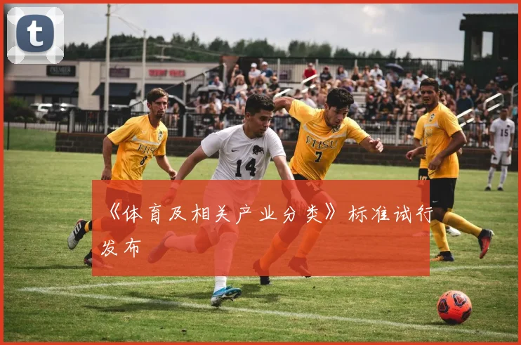 《体育及相关产业分类》标准试行发布